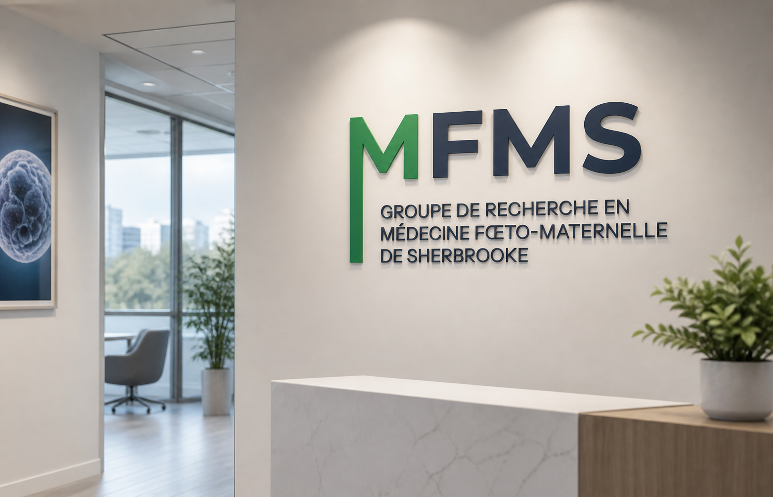 MFMS — visuel 1