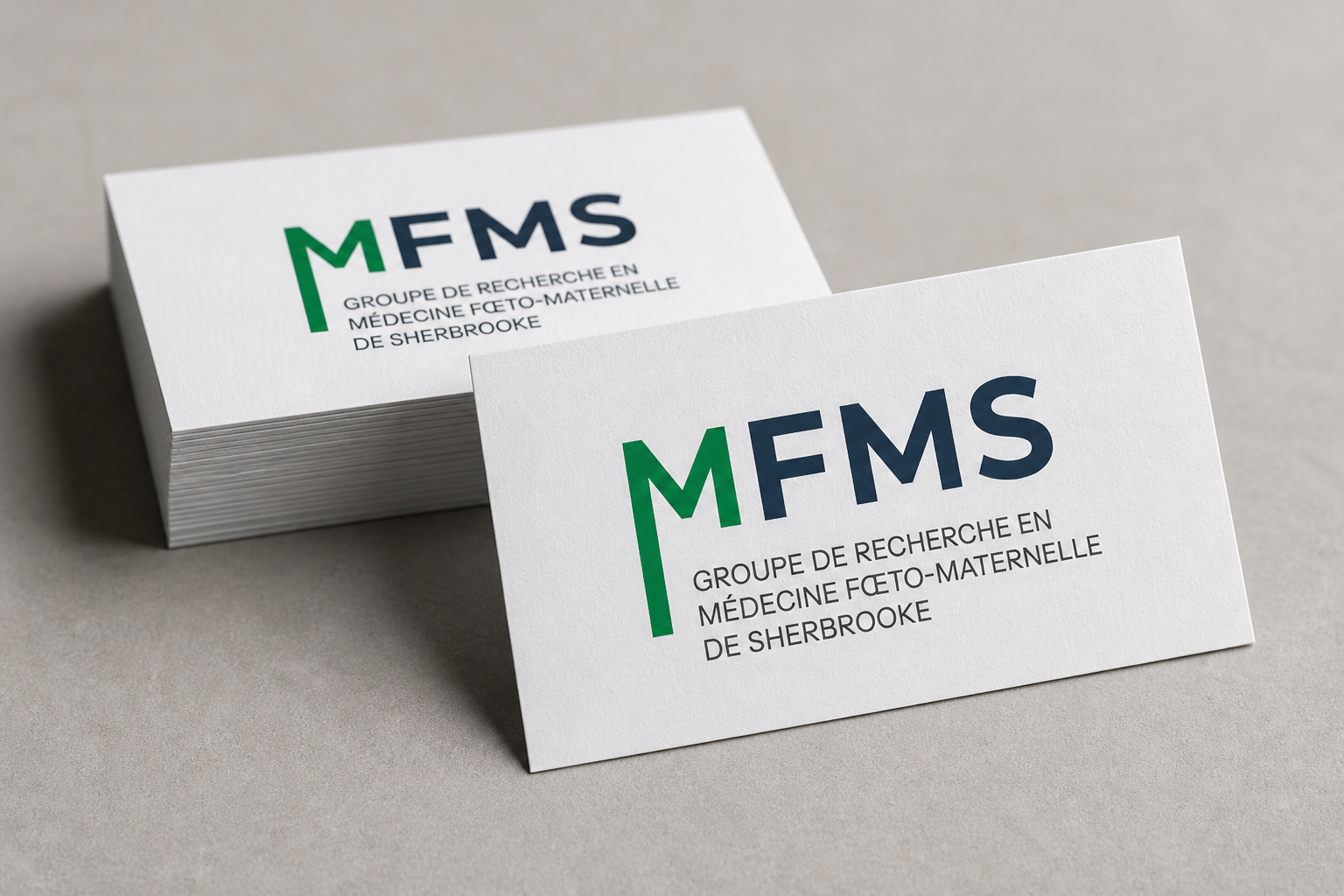 MFMS — visuel 3