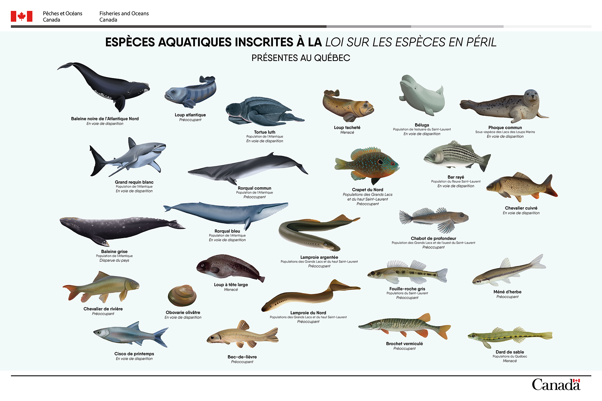 Pêches et Océans Canada — visuel 1