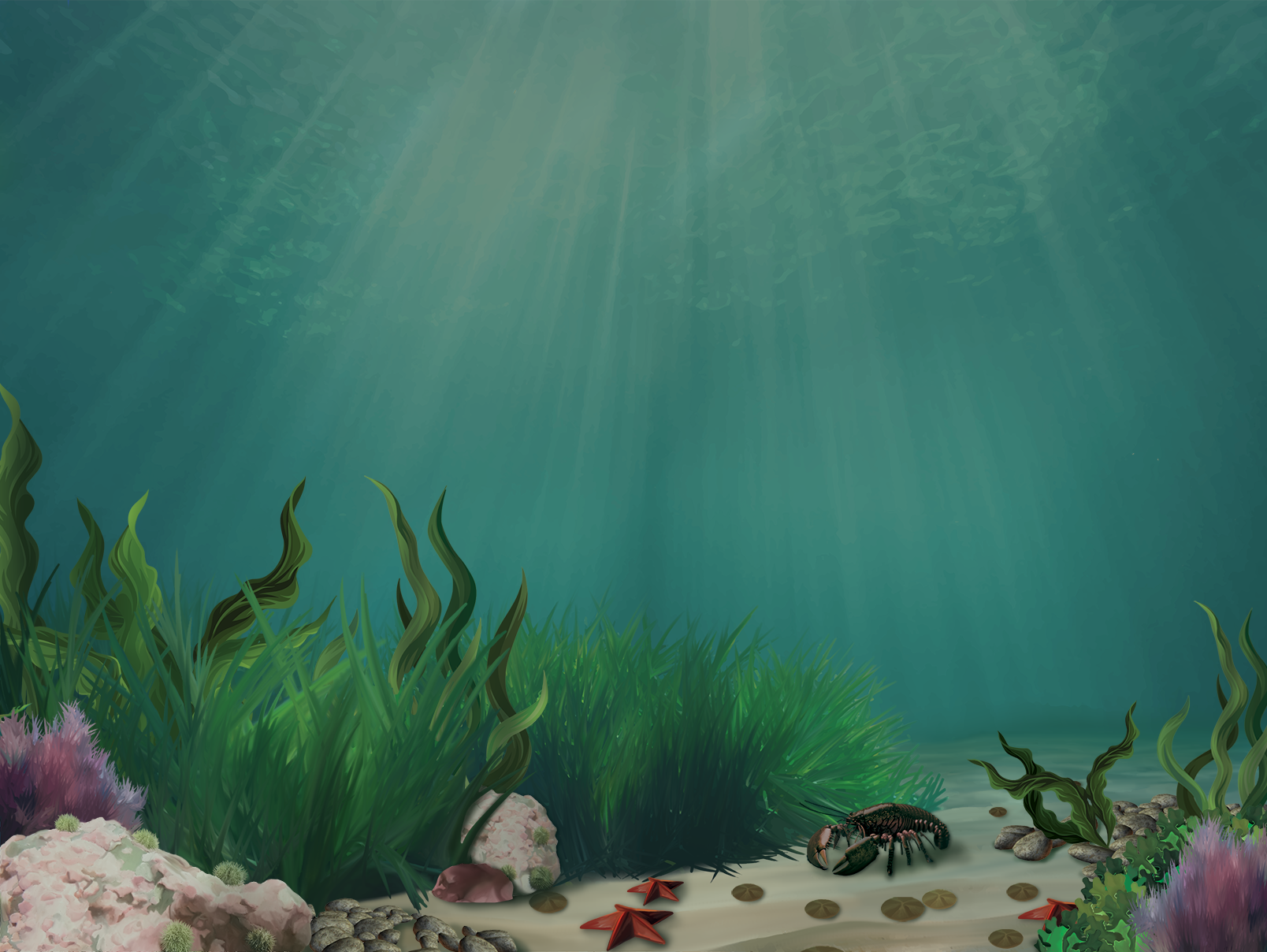 Pêches et Océans Canada — visuel 2